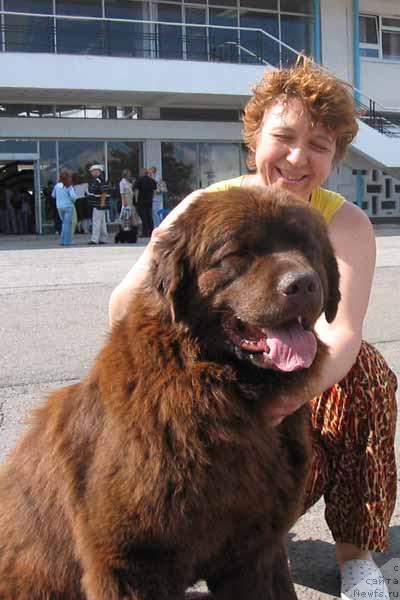 Фото: ньюфаундленд YOko Gava s Berega Dona (Ёко Гава с Берега Дона)