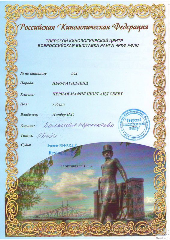 Фото: ньюфаундленд Chernaya Mafia Short and Sweet (Черная Мафия Шорт анд Свеет)