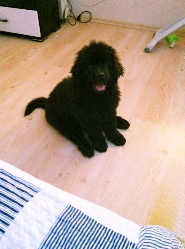 Фотография № 166065