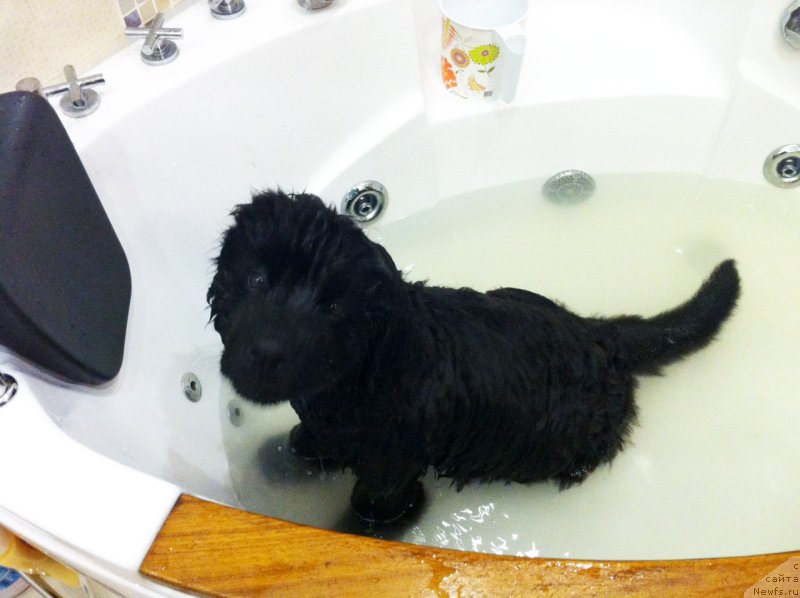 Фотография № 166067