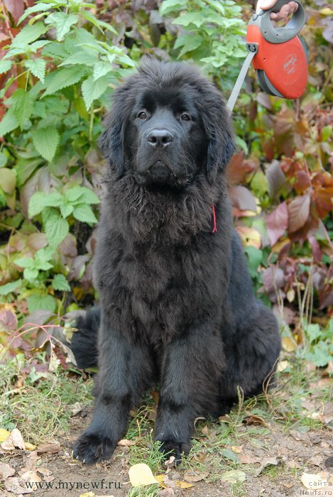 Фотография № 166127