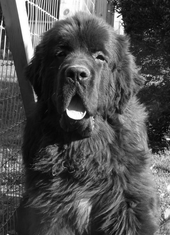 Фотография № 166129