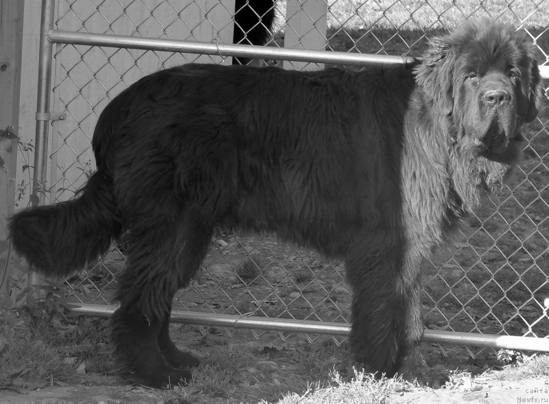 Фотография № 166131