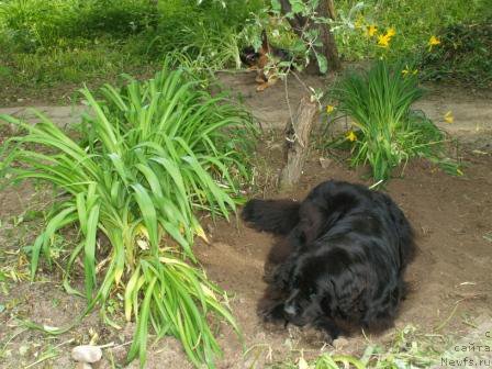 Фотография № 166132