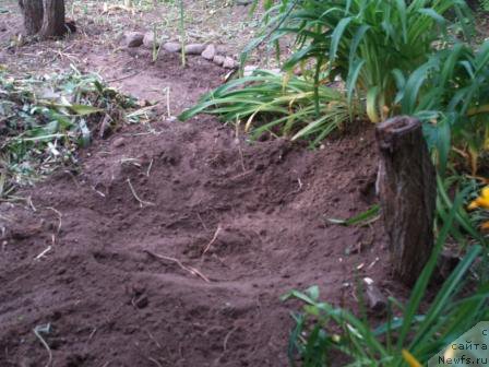 Фотография № 166135