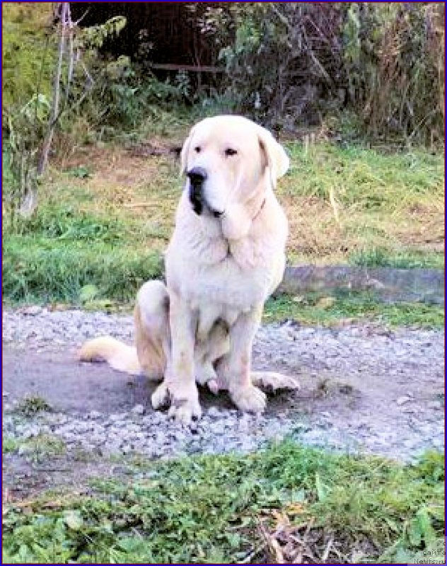 Фотография № 166139