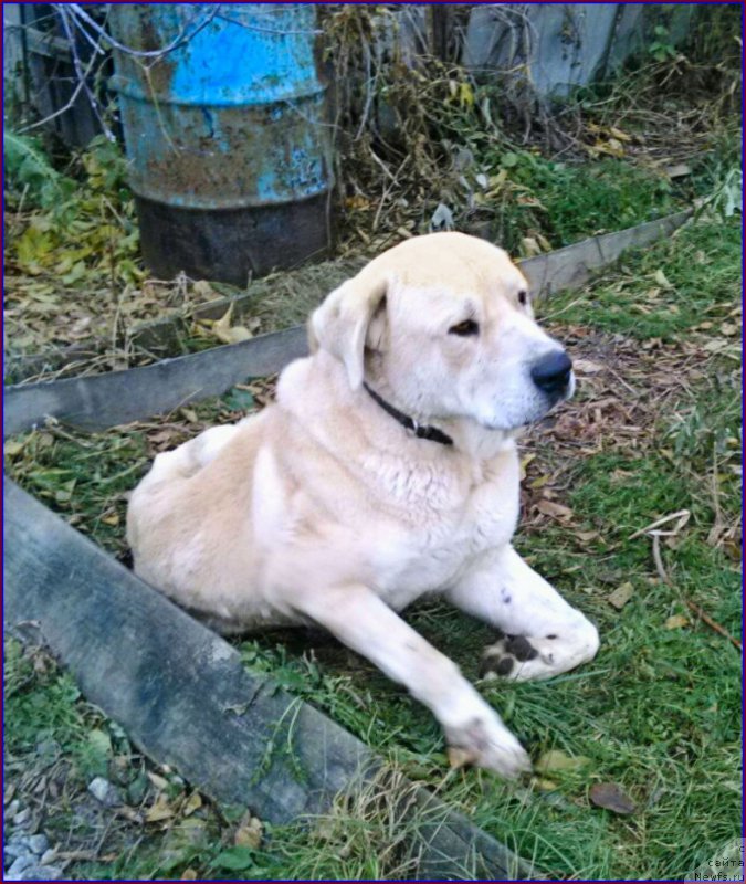 Фотография № 166141