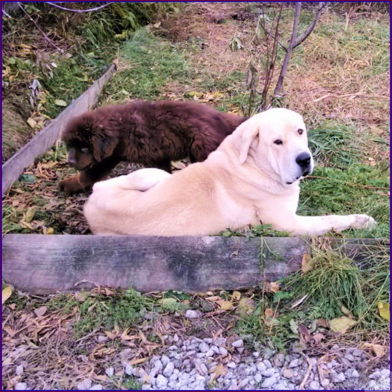 Фотография № 166143