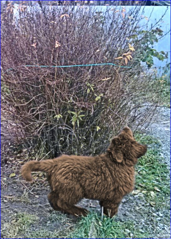 Фотография № 166146