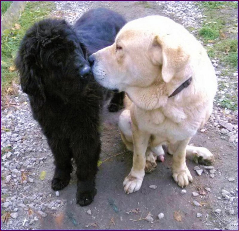 Фотография № 166147