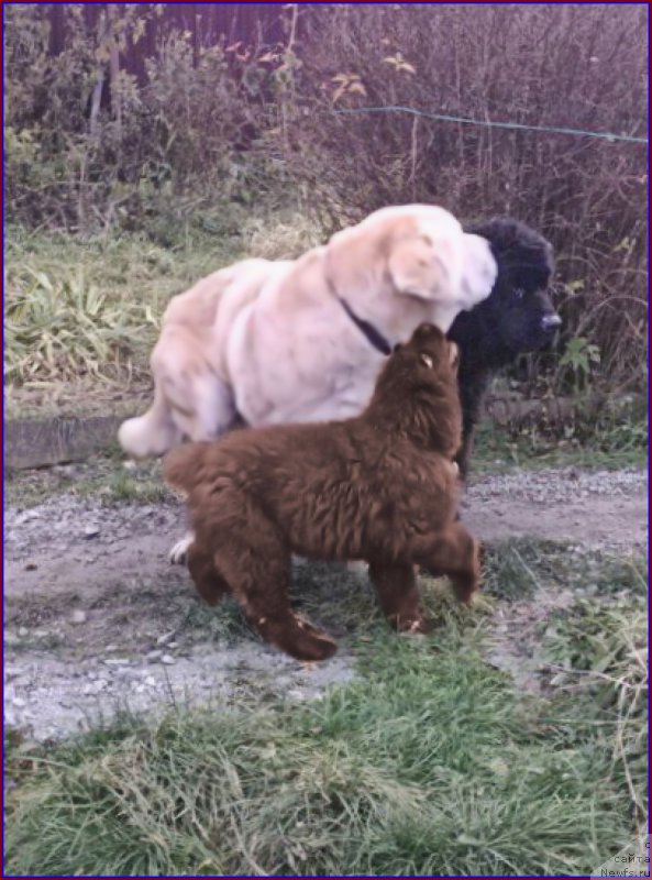 Фотография № 166148