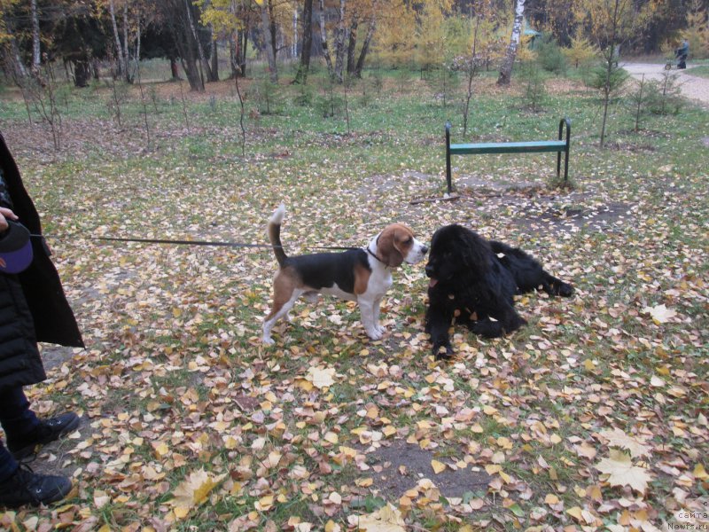 Фотография № 166156