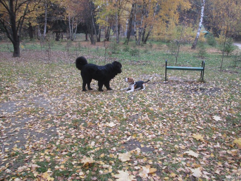 Фотография № 166157