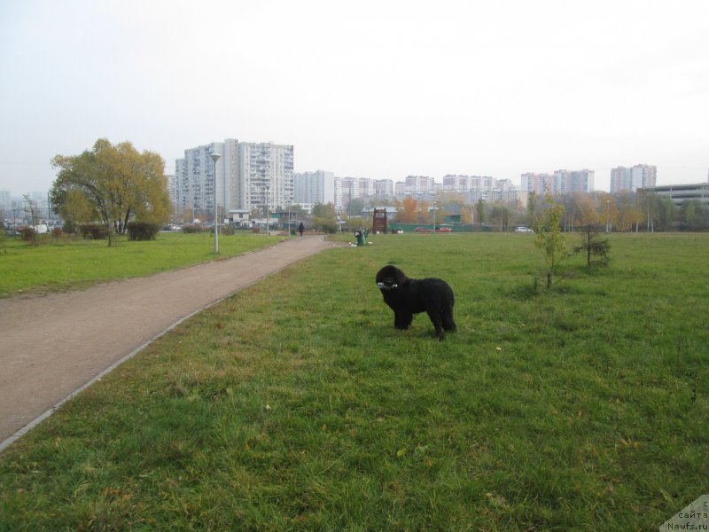 Фотография № 166158