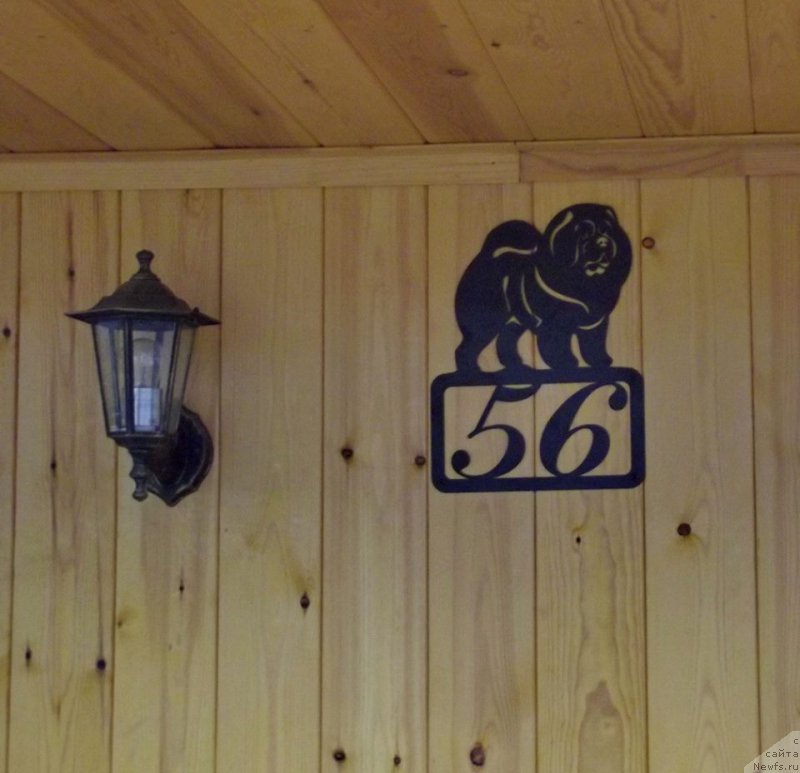 Фотография № 166169