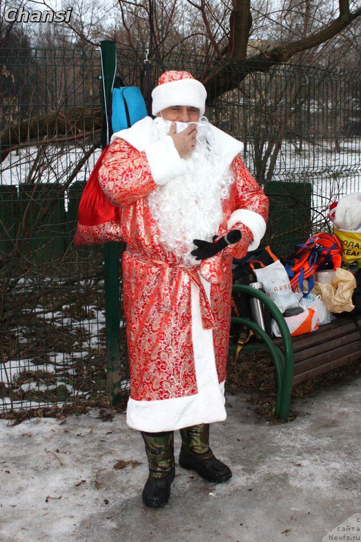 Фотография № 166172