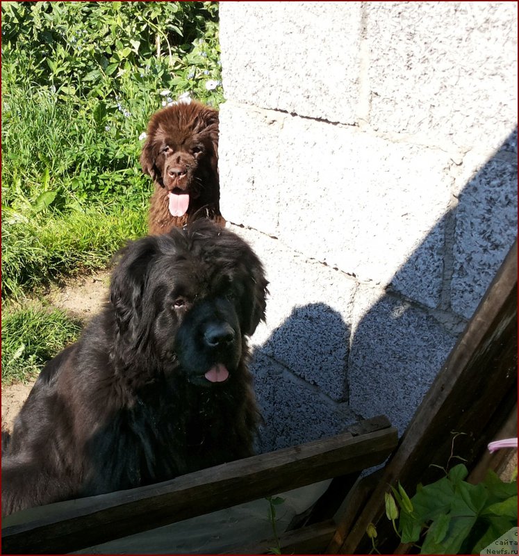 Фотография № 166190