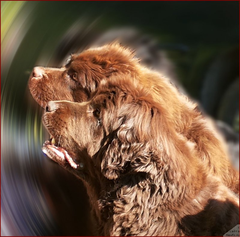 Фотография № 166192