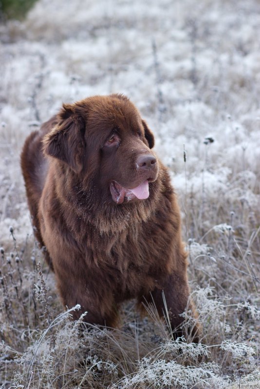 Фотография № 166203