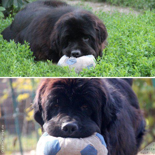 Фотография № 166251