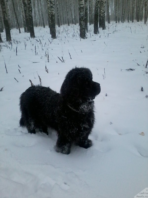 Фотография № 166259