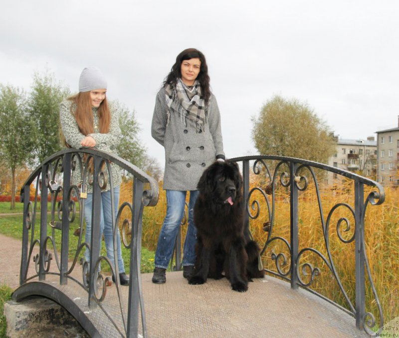 Фотография № 166281