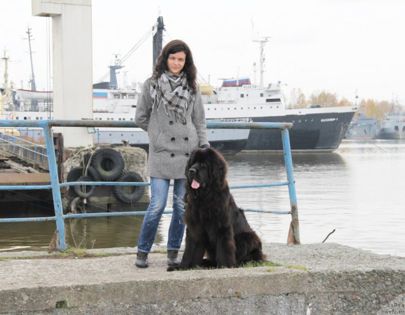 Фотография № 166283