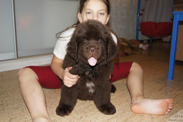 Фото: Черный шарм Дензел Вашингтон