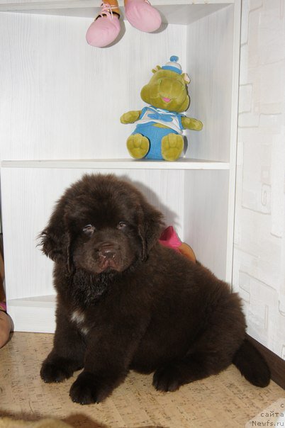 Фото: Черный Шарм Дензел Вашингтон