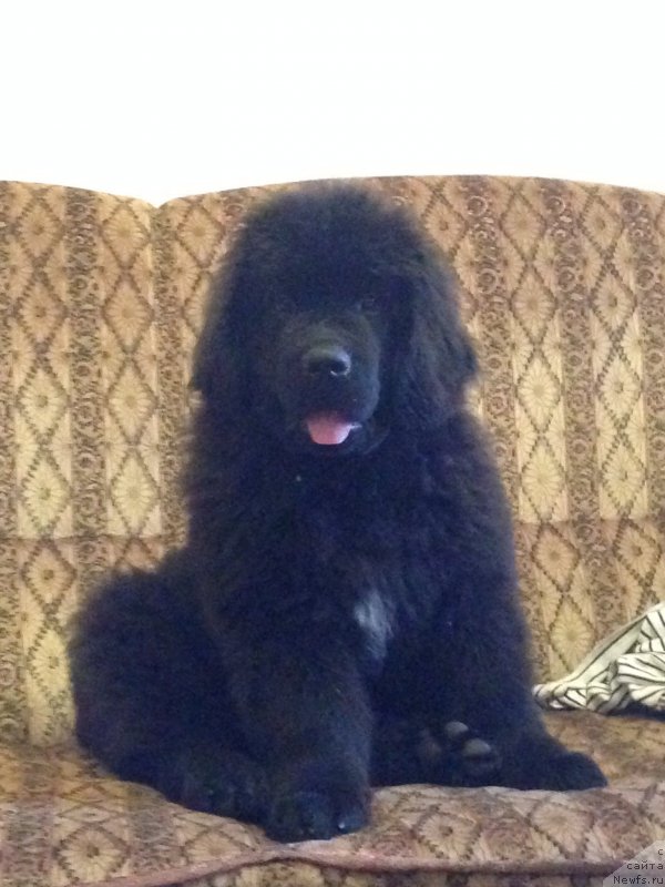 Фотография № 166299