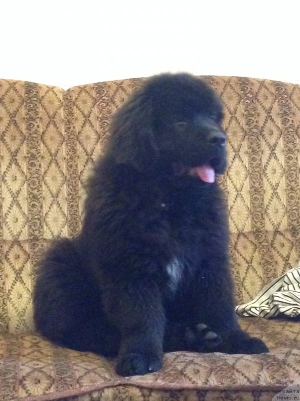 Фотография № 166300