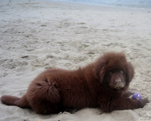 Фотография № 166315