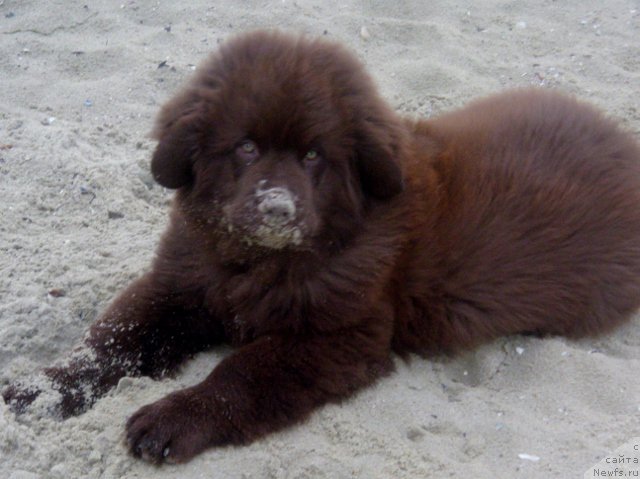 Фотография № 166317