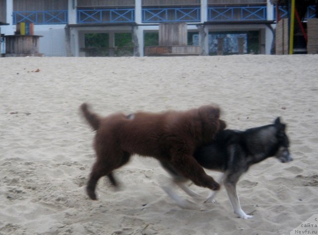 Фотография № 166319