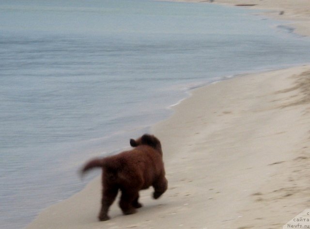 Фотография № 166320