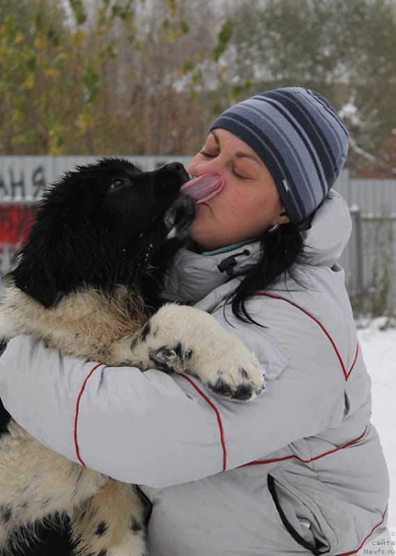 Фотография № 166341