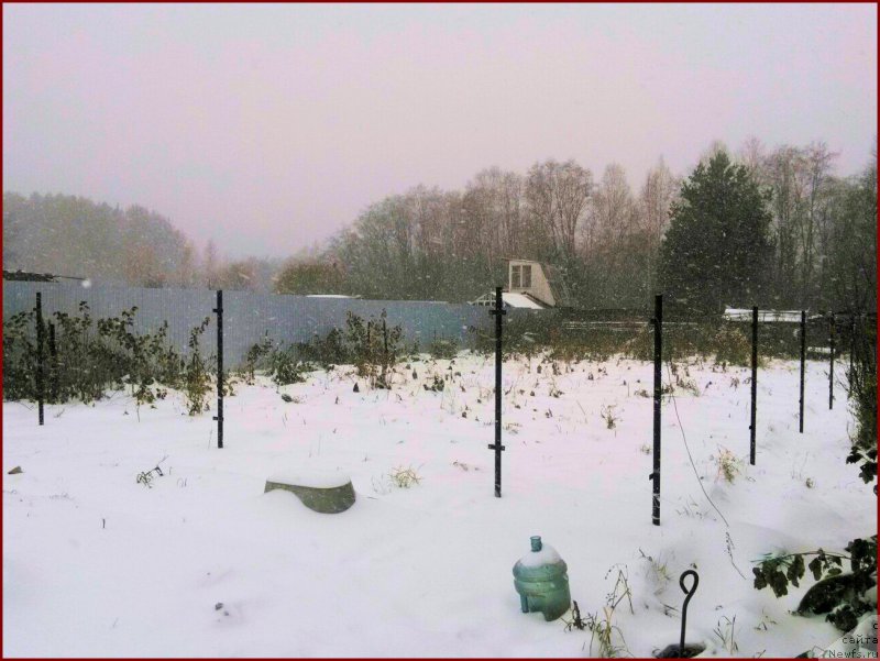 Фото: Lena Zyirina (Лена Зырина)