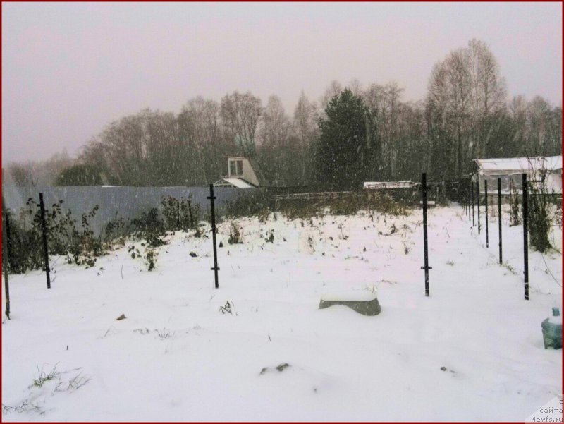 Фото: Lena Zyirina (Лена Зырина)