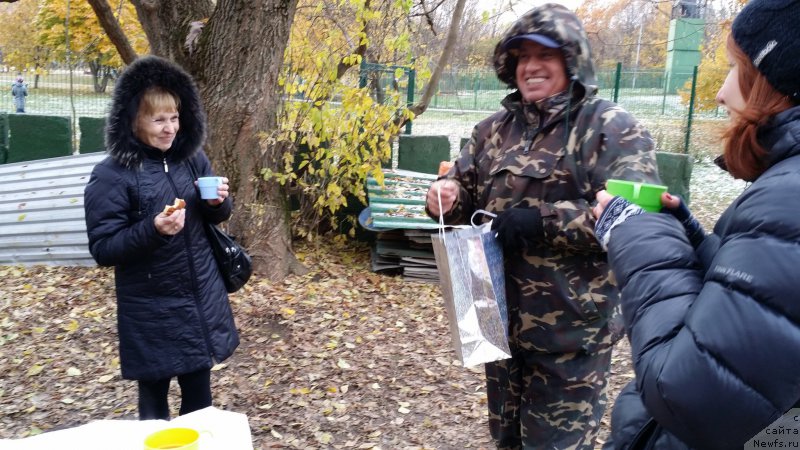 Фотография № 166347