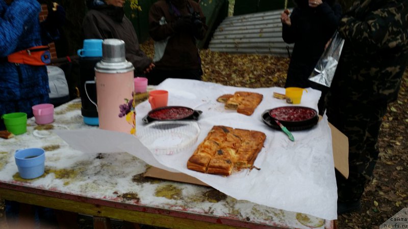 Фотография № 166348