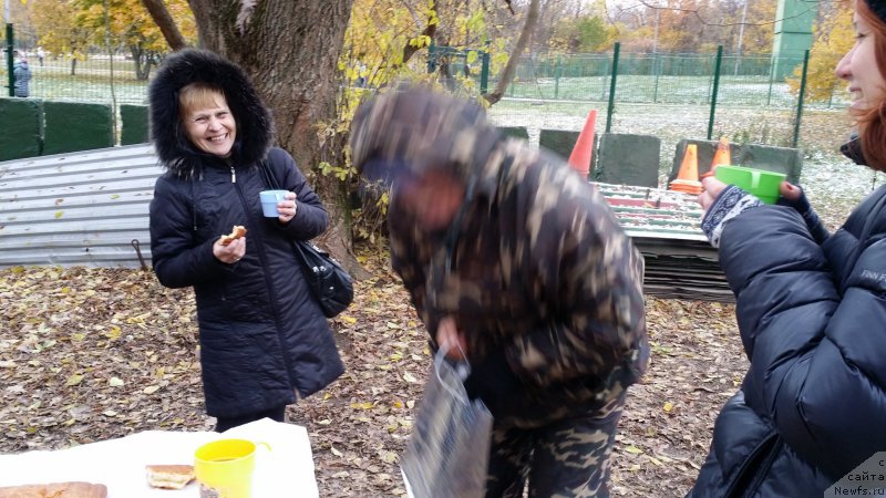 Фотография № 166349