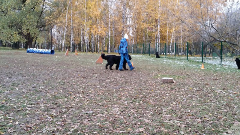 Фотография № 166350