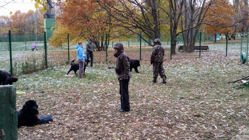 Фотография № 166351