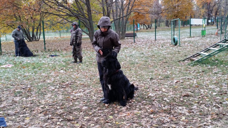 Фотография № 166352