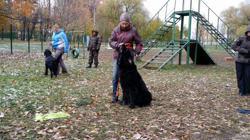 Фотография № 166355