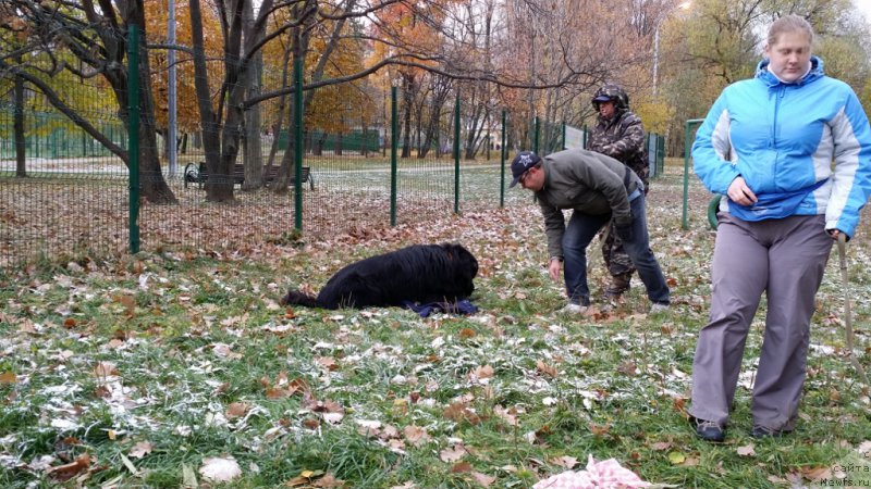 Фотография № 166356