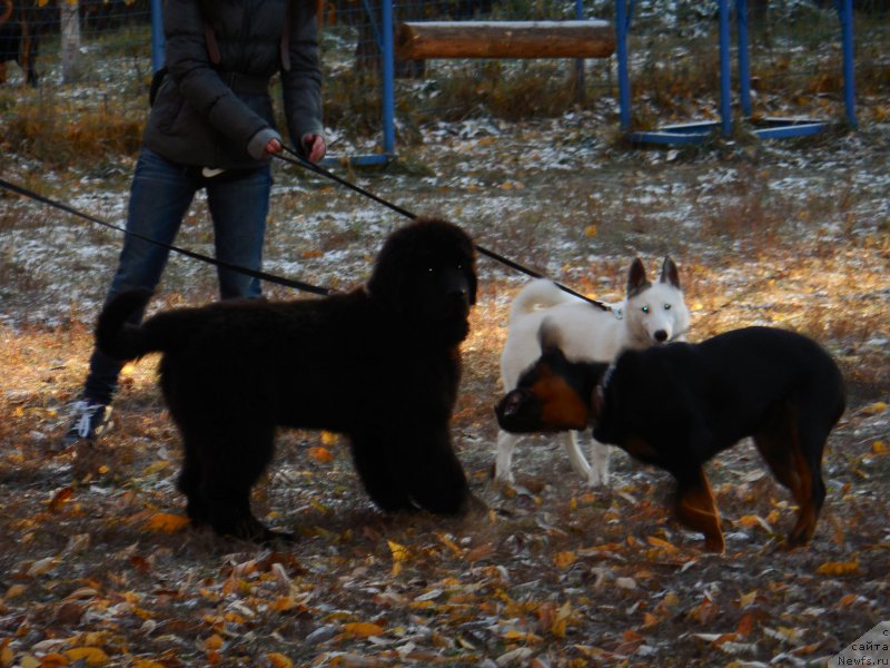 Фотография № 166369