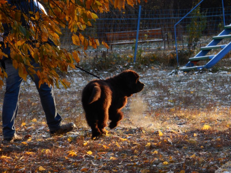 Фотография № 166370