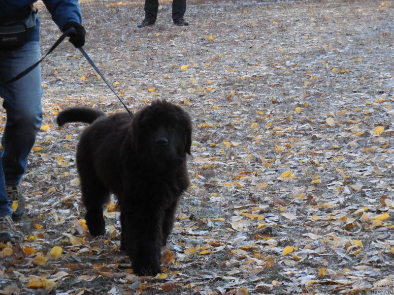 Фотография № 166371