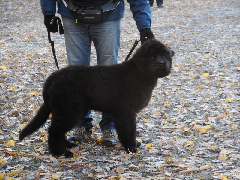 Фотография № 166372